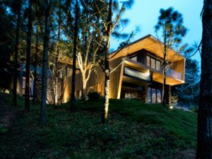 modern wooden house design, house made of wood design,